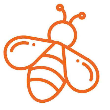 Everbee Coupons and Promo Code